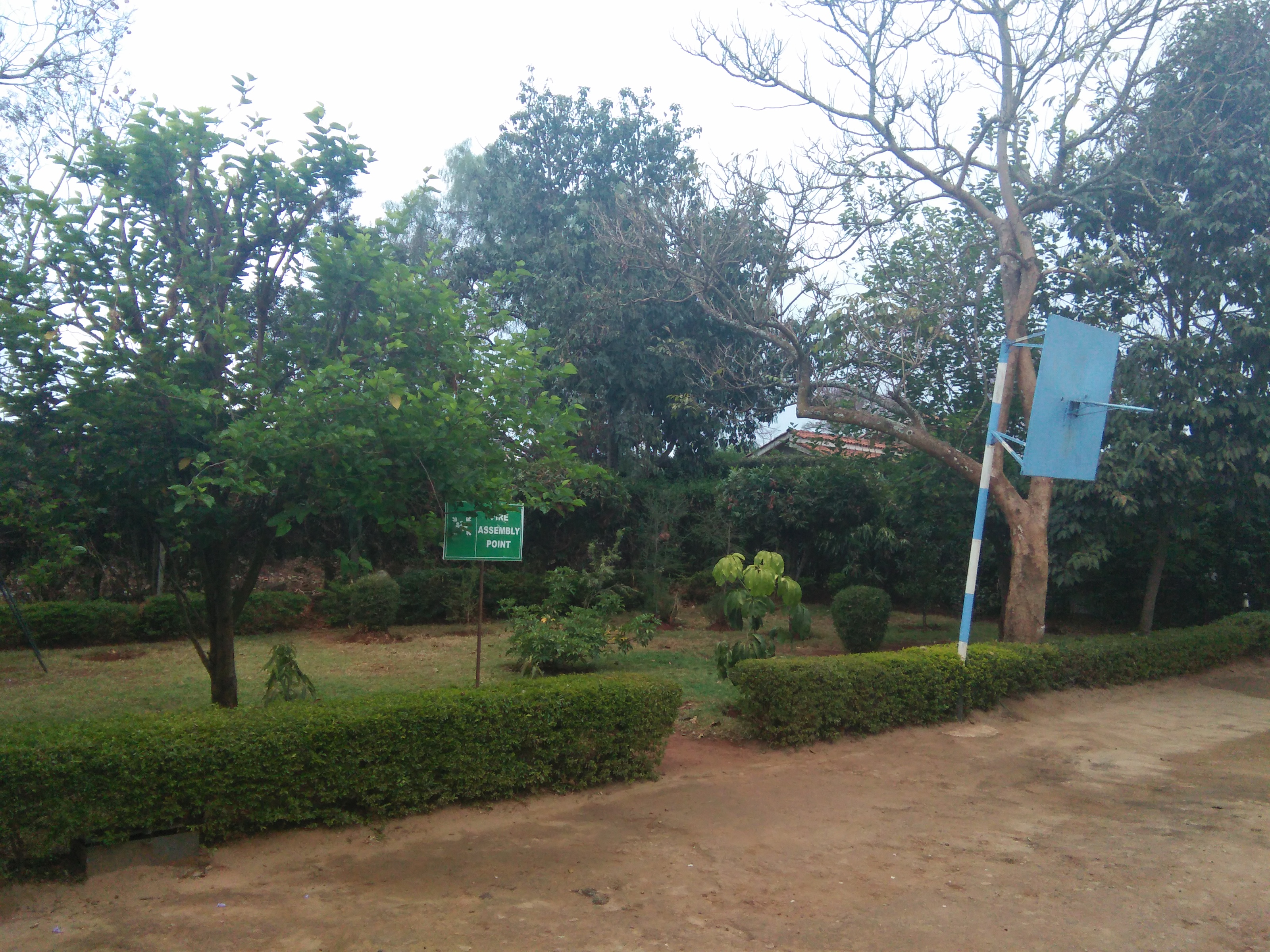 Gallery image 10